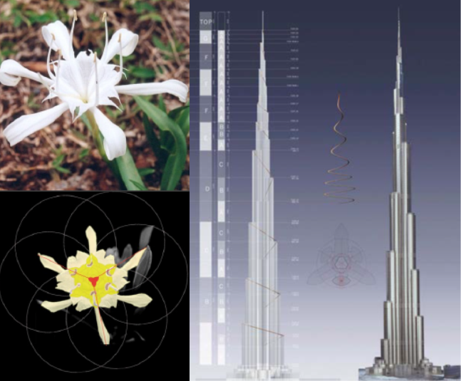 Design du Burj Khalifa inspiré par une fleur du désert.